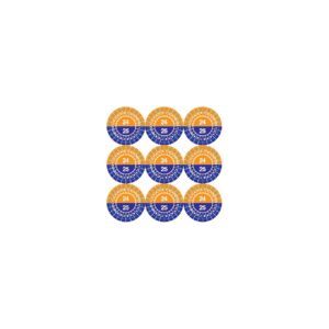 Pictogram Stickervel Controle 2024/2025 30 Mm (9 Stuks)