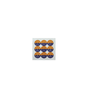Pictogram Stickervel Controle 2025/2026 30 Mm (9 Stuks)
